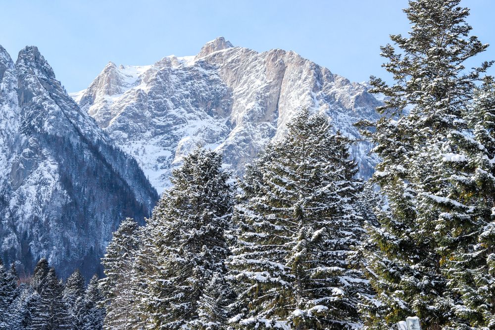 Photograph by Andreea Oancă