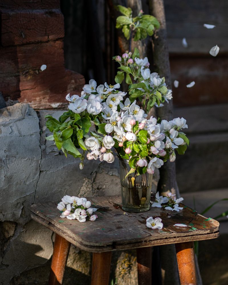 Photograph by Юлия Подкопаева