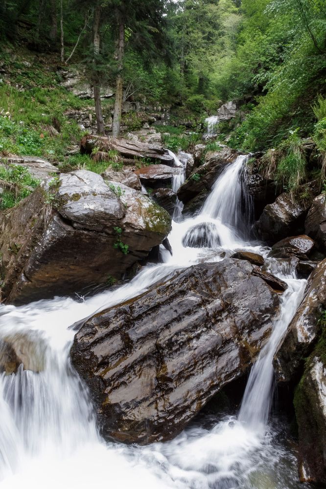 Photograph by Анатолий Чупрынин