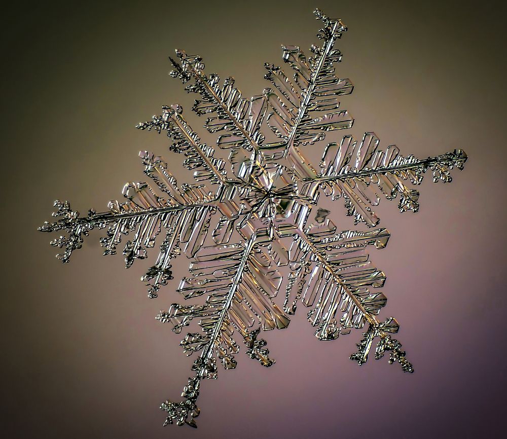 Photograph by андрей захаров