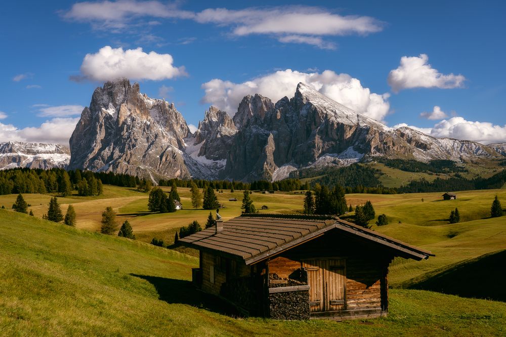 Photograph by Andy Fowlie