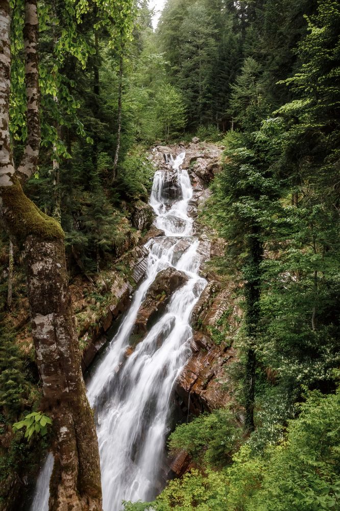 Photograph by Анатолий Чупрынин