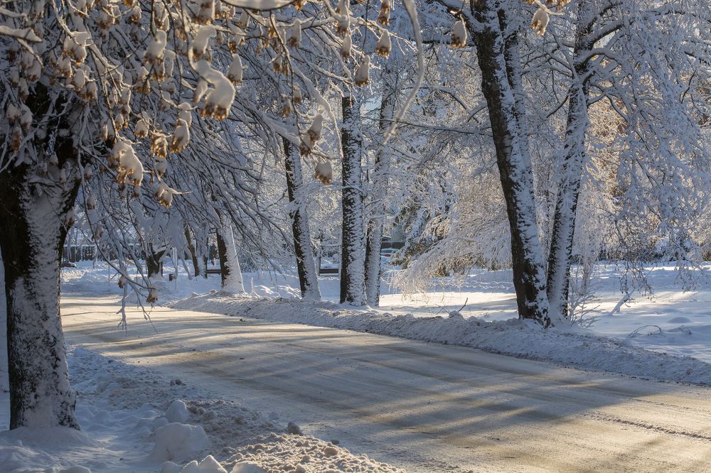 Photograph by Intars Supins