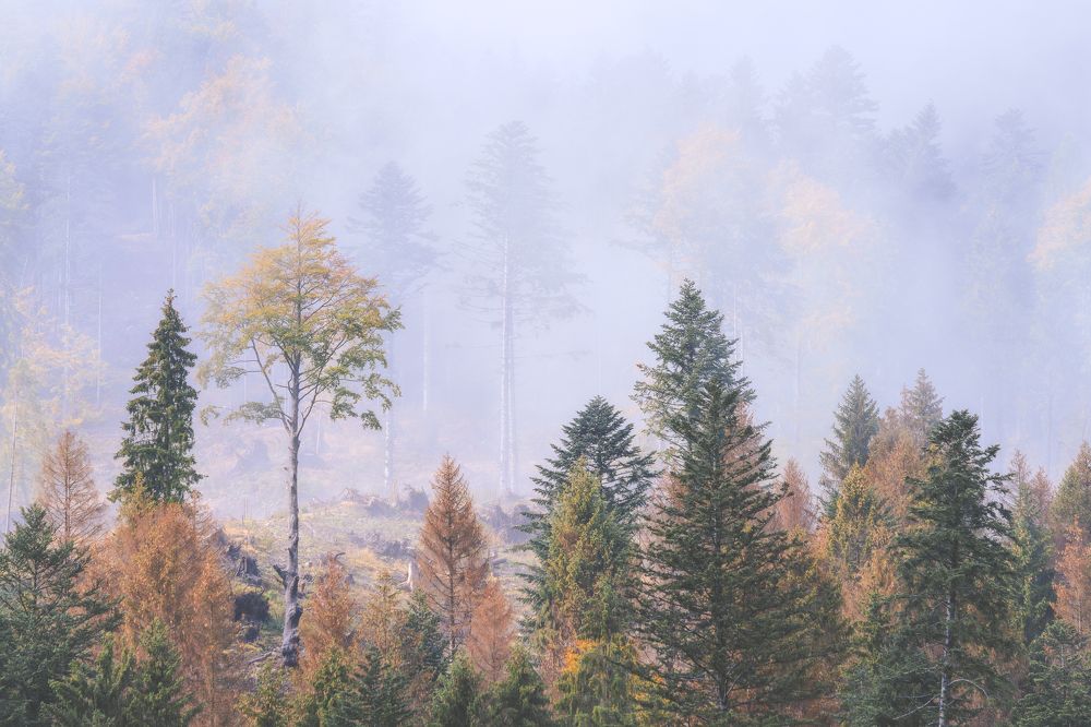 Photograph by Andy Fowlie