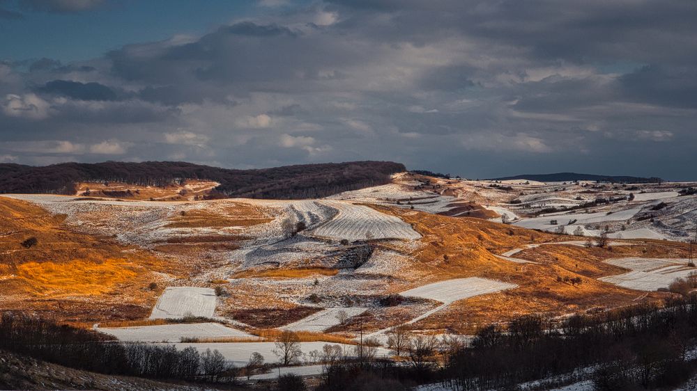 Photograph by Adrian Adi Gli