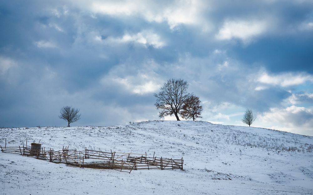 Photograph by Adrian Adi Gli