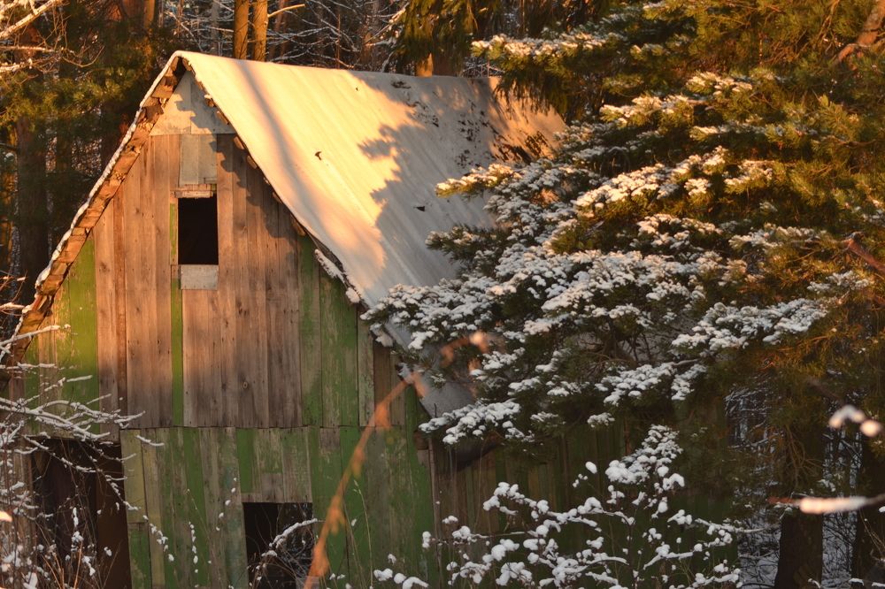 Photograph by Алексей Абратанов