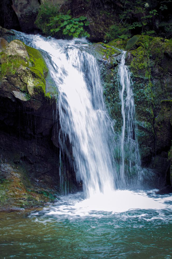 Фотография автора Наталія Савка