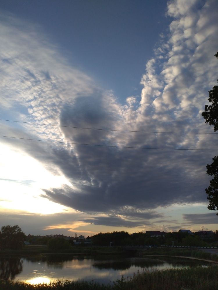 Photo #7124349