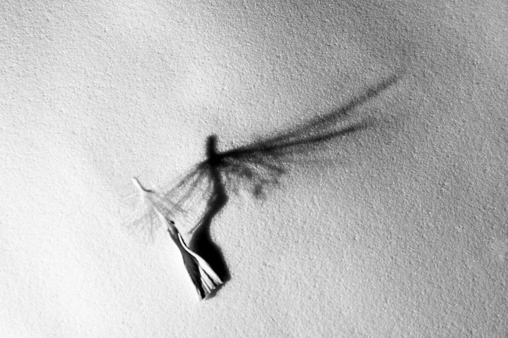 Photograph by Светлана Лебедева