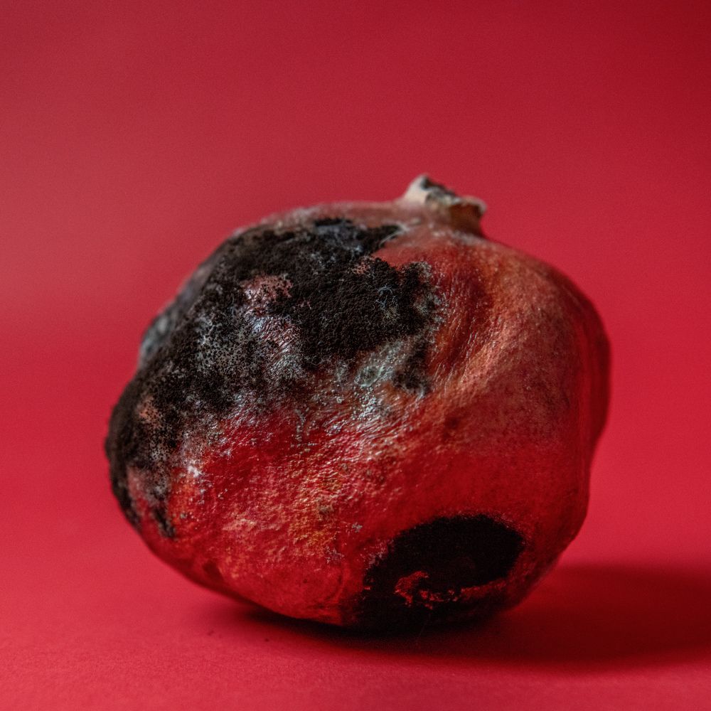 Photograph by Светлана Лебедева