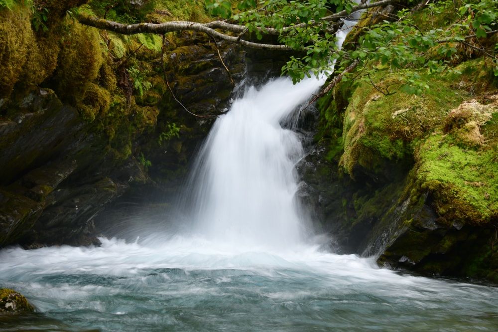 Фотография автора Anna NovaLova