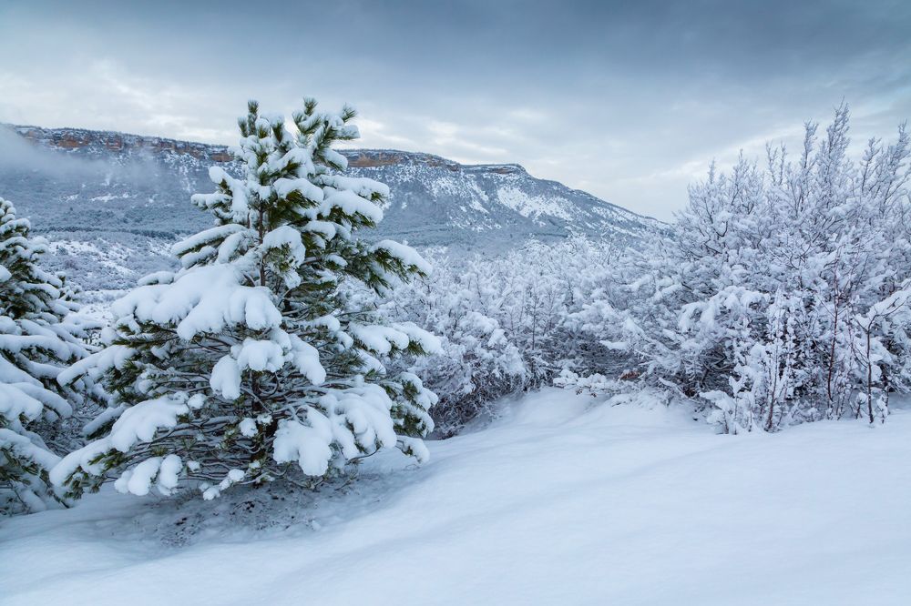 Photograph by Елена Покрепа