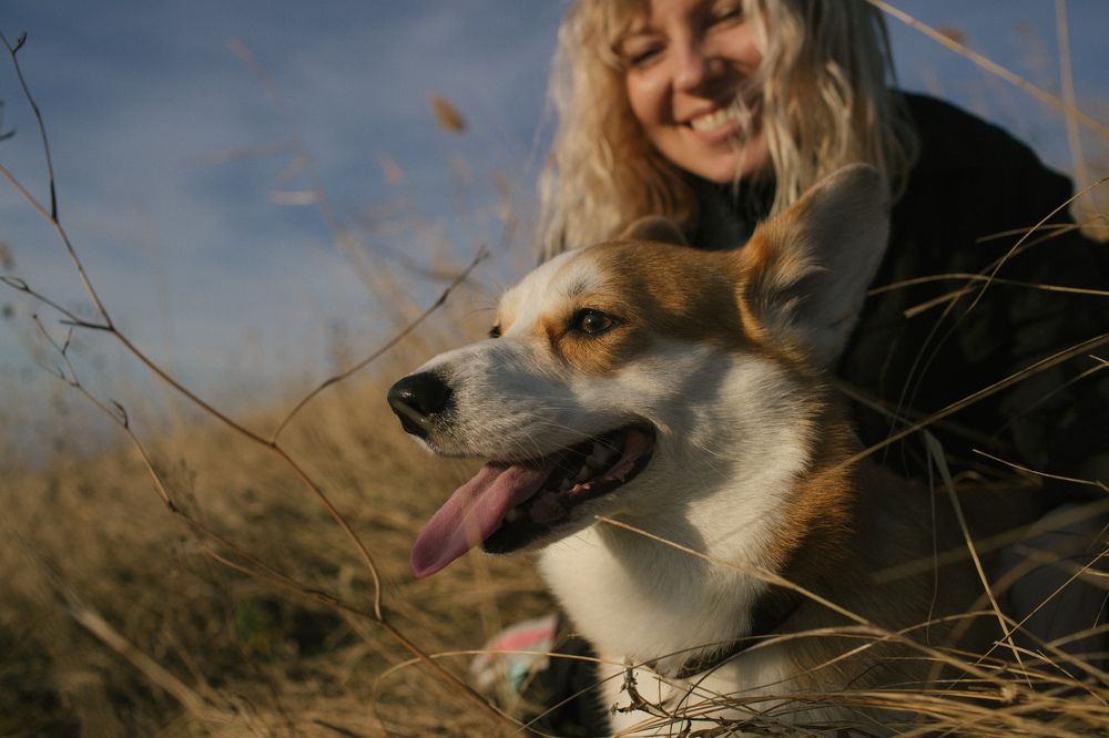 Photograph by Екатерина Абонеева