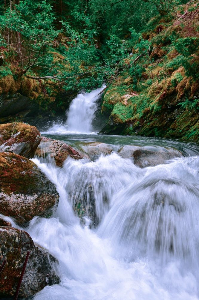 Фотография автора Anna NovaLova