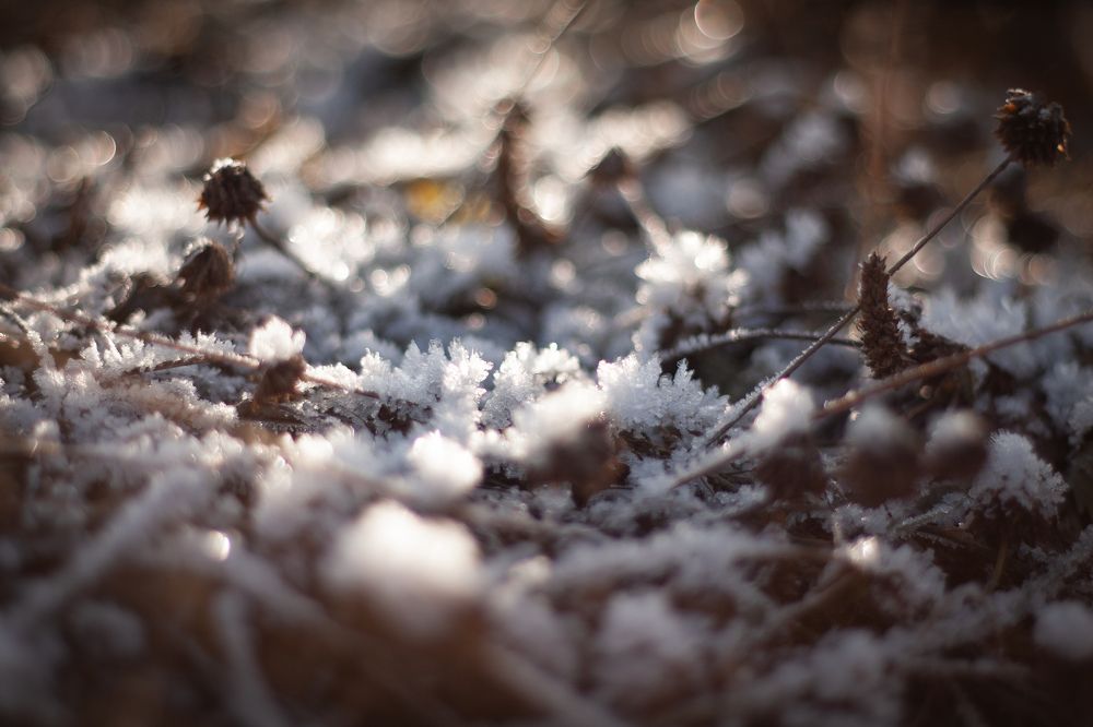 Photograph by Анастасия Петрова