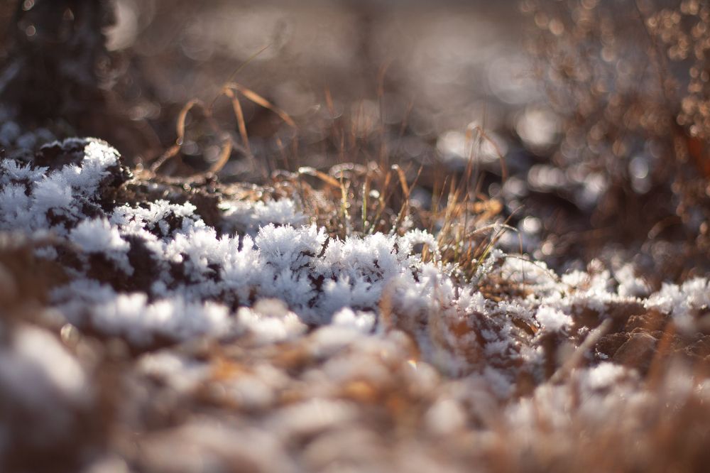 Photograph by Анастасия Петрова