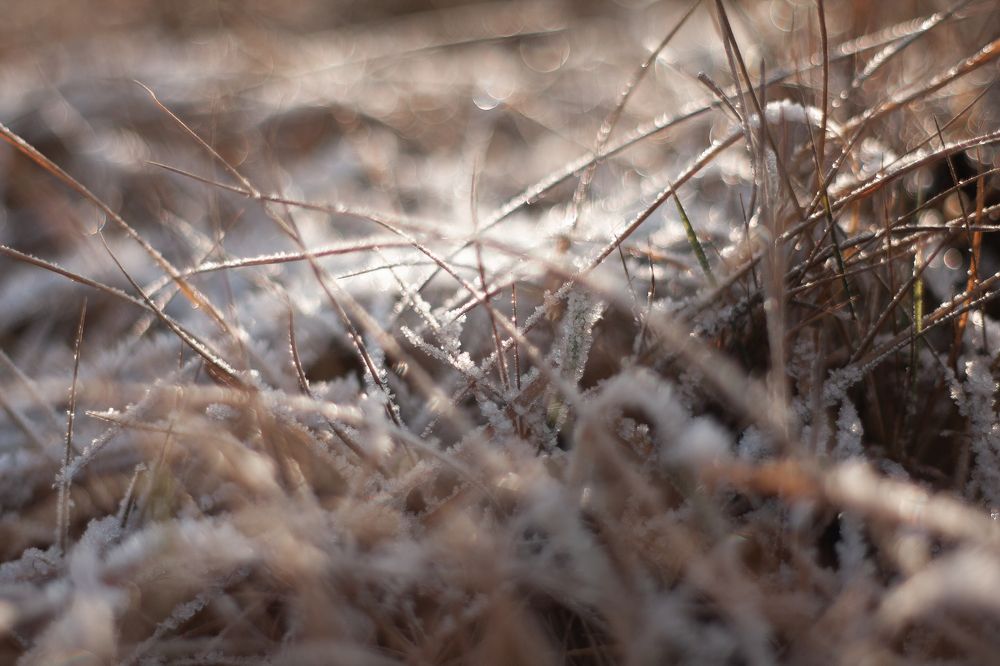 Photograph by Анастасия Петрова