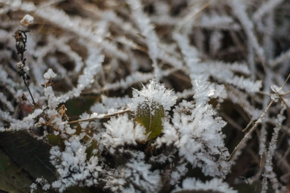 Photograph by Анастасия Петрова