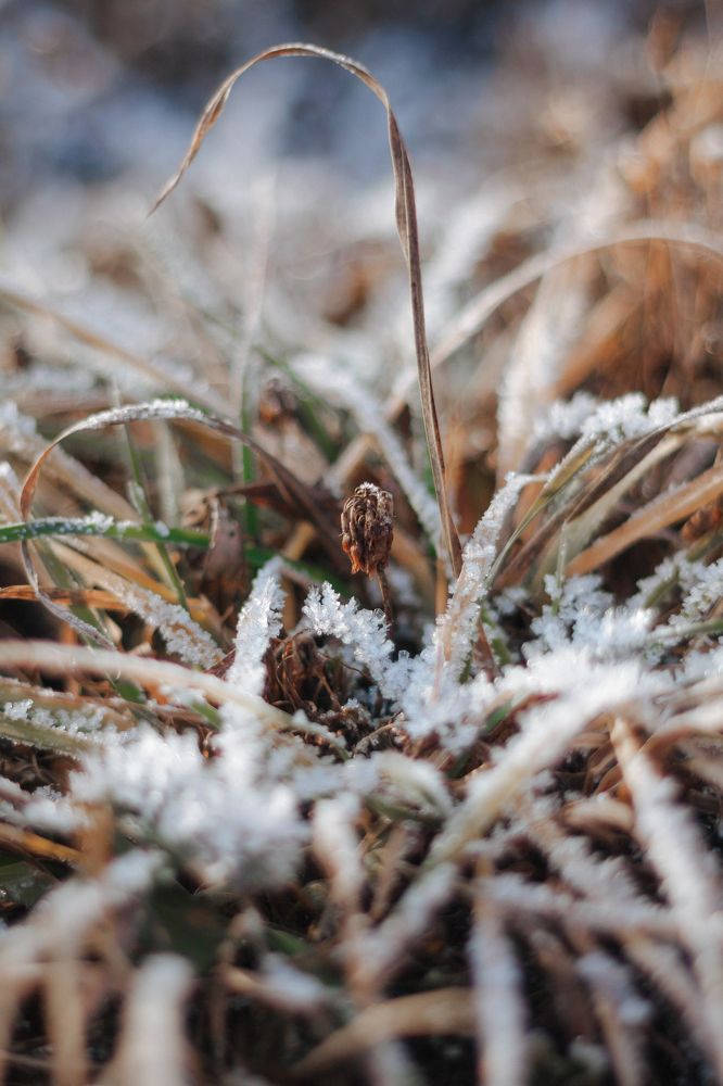 Photograph by Анастасия Петрова