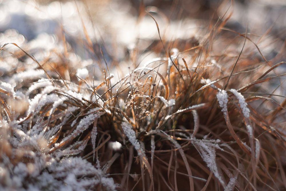 Photograph by Анастасия Петрова