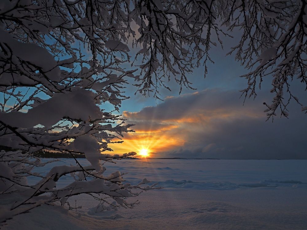 Photograph by Евгений Яковлев