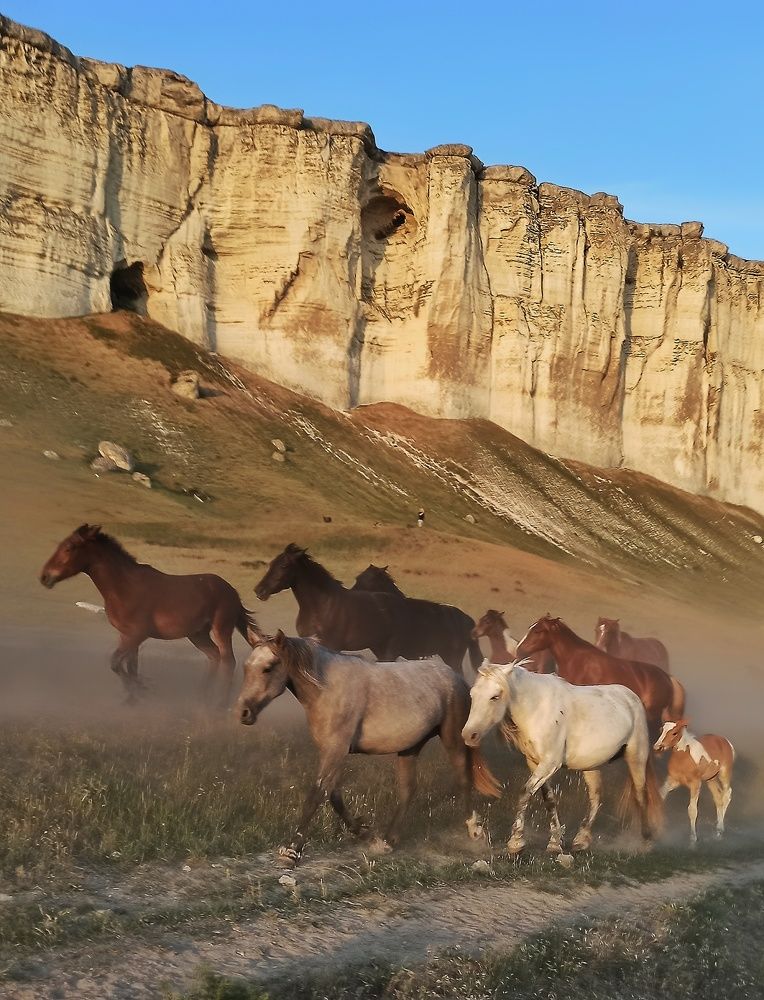 Photograph by Сергей Жигульский