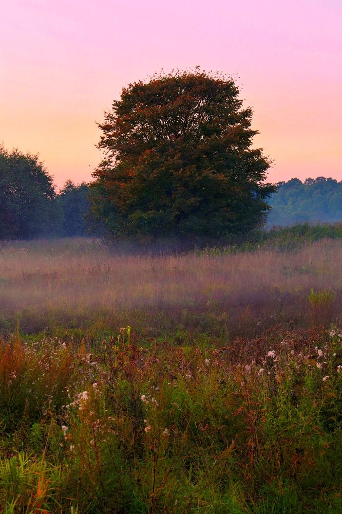 Фотография автора Vadim