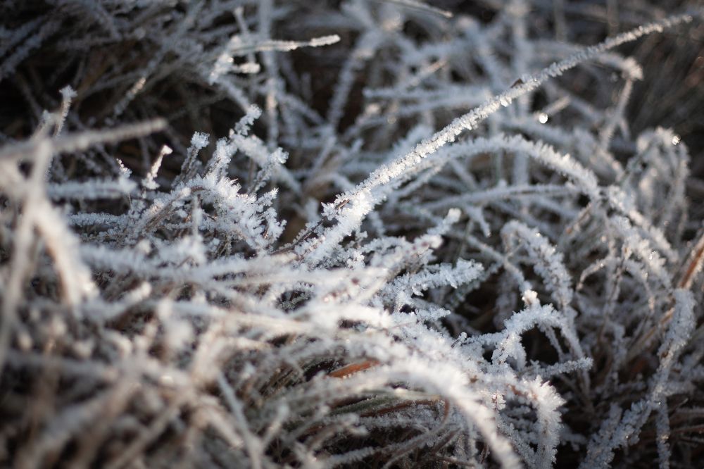 Photograph by Анастасия Петрова