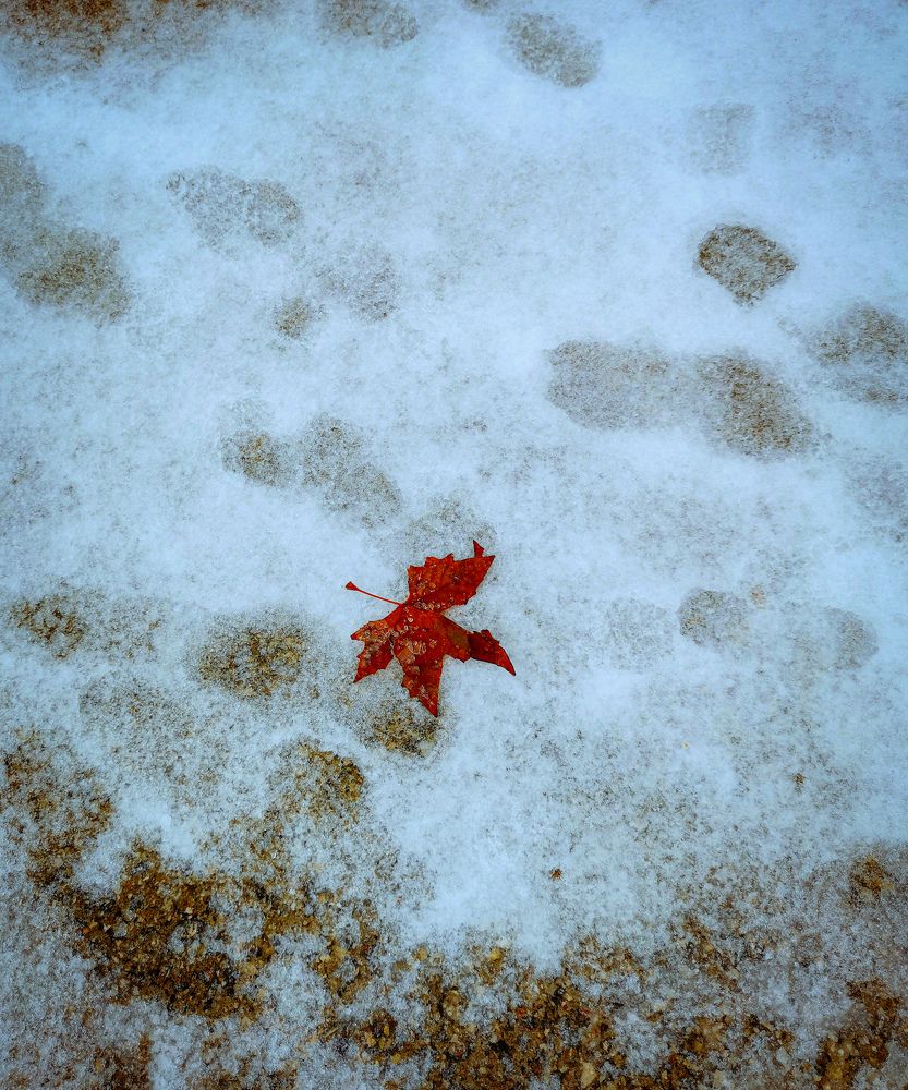 Photograph by Виктория Федосеенко