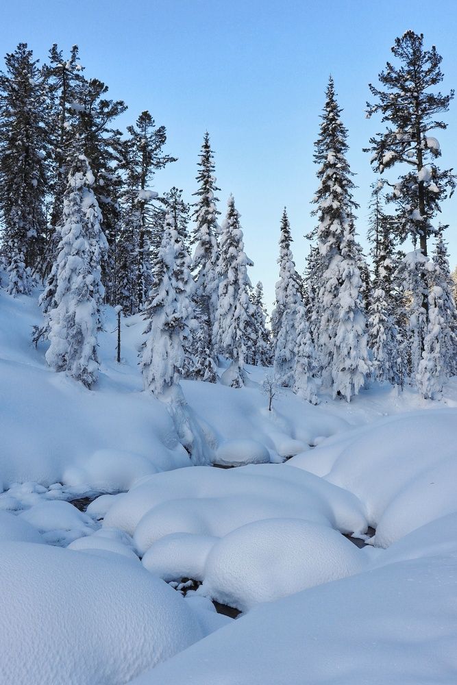 Photograph by Марина Кощеева