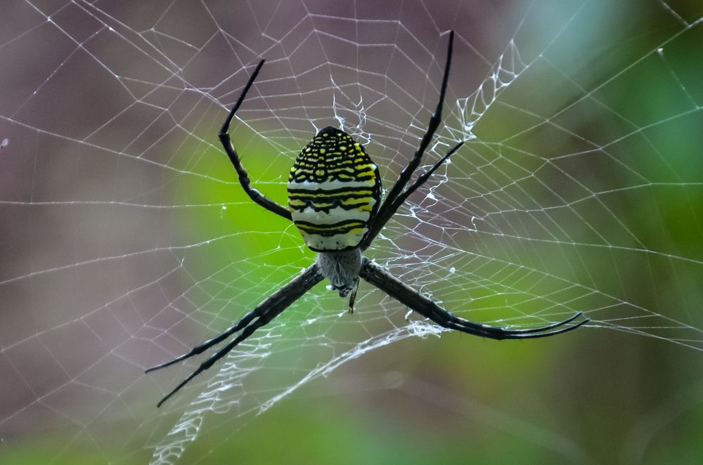 Photograph by Sachin Kamble