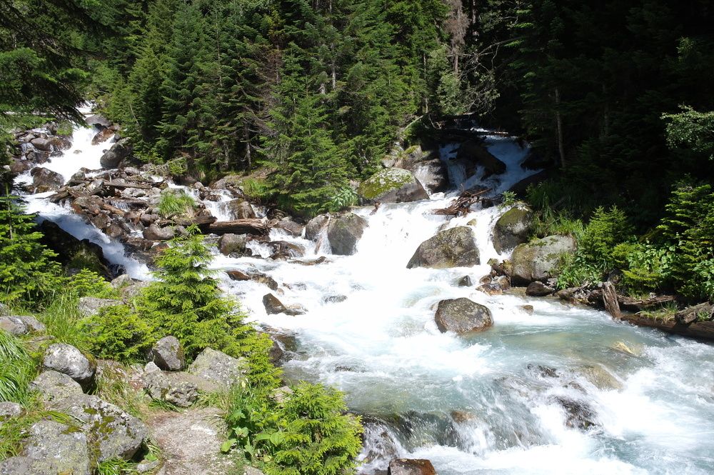 Photograph by Ирина Дронова