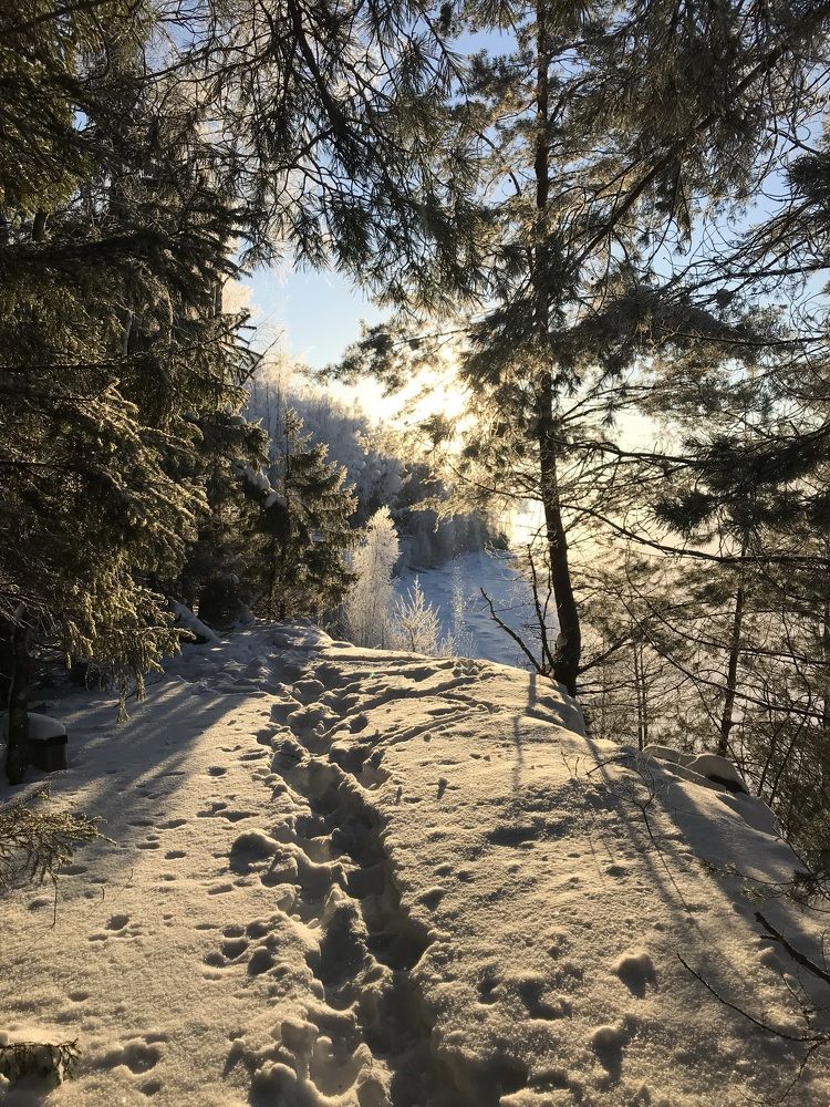 Photograph by Владимир