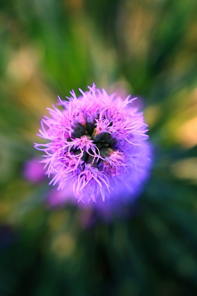 Фотография автора Vadim