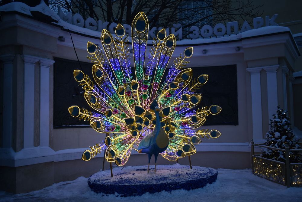 Photograph by Сергей Иванович Носов