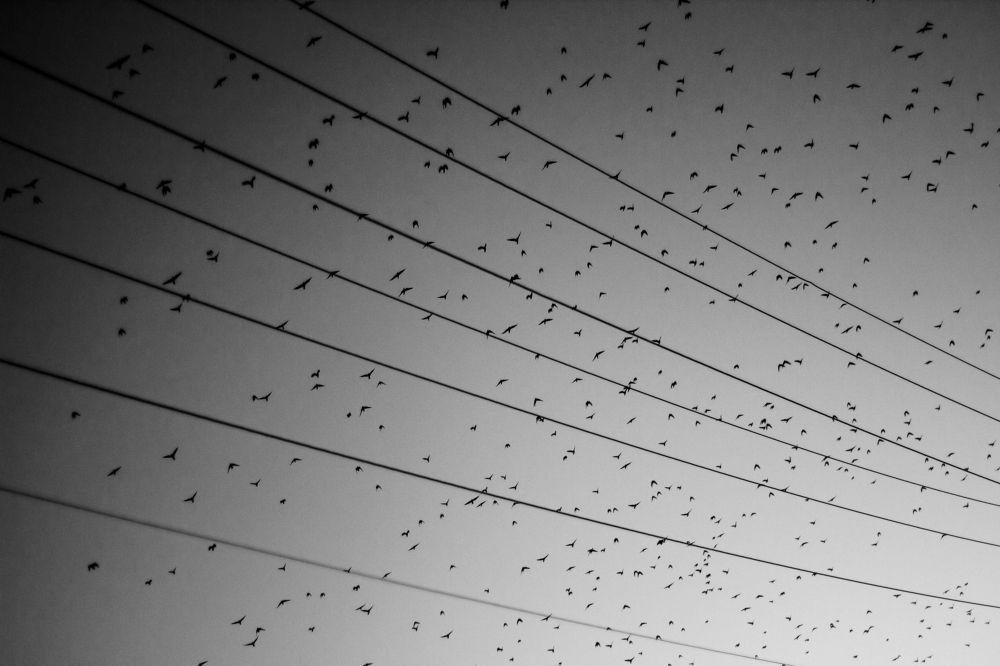 Photograph by Николай Астанин