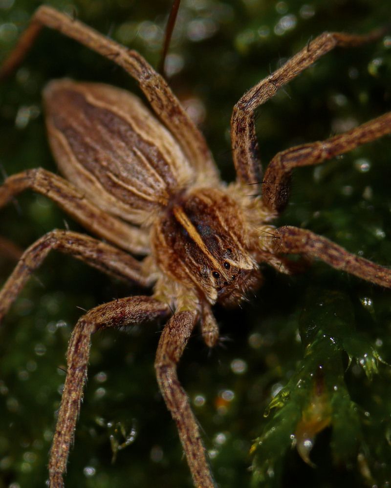 Photograph by Markéta Mastešová