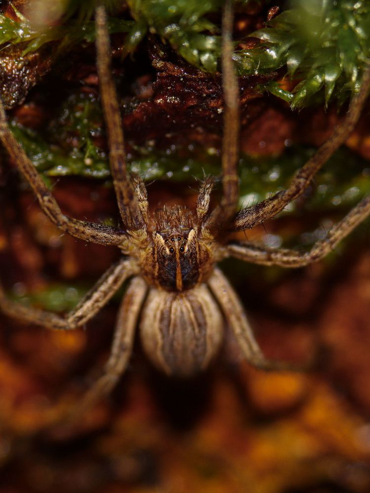 Photograph by Markéta Mastešová