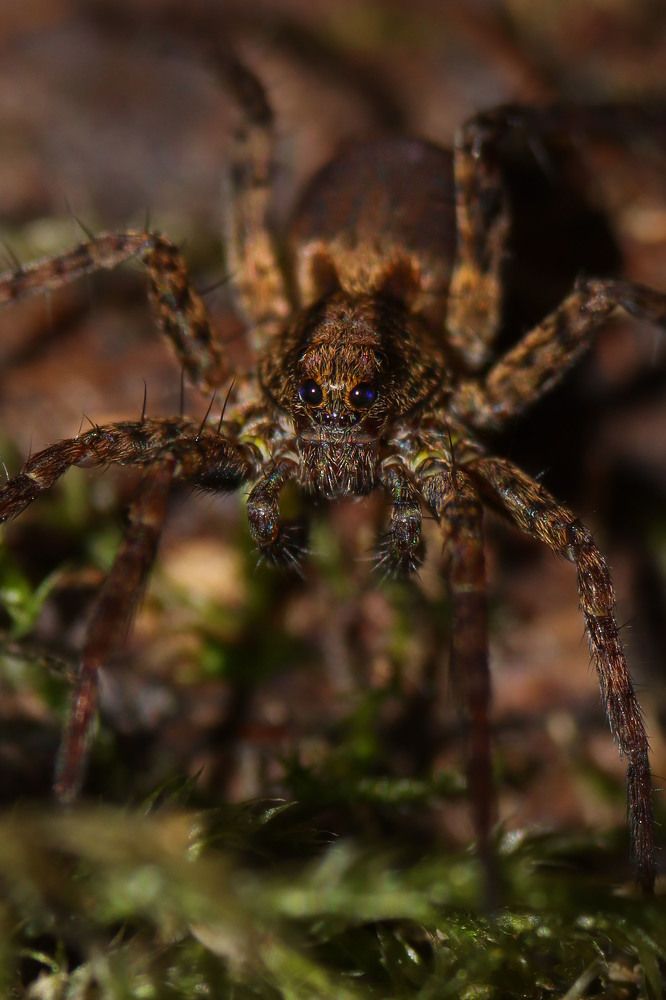 Photograph by Markéta Mastešová