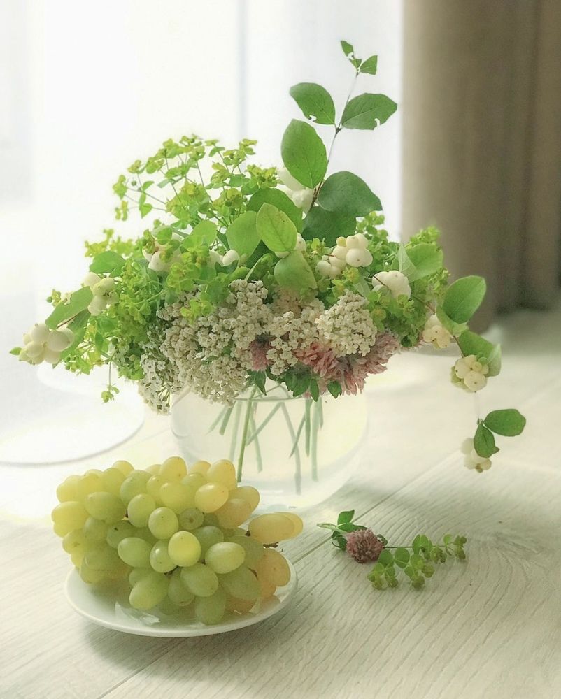 Photograph by 