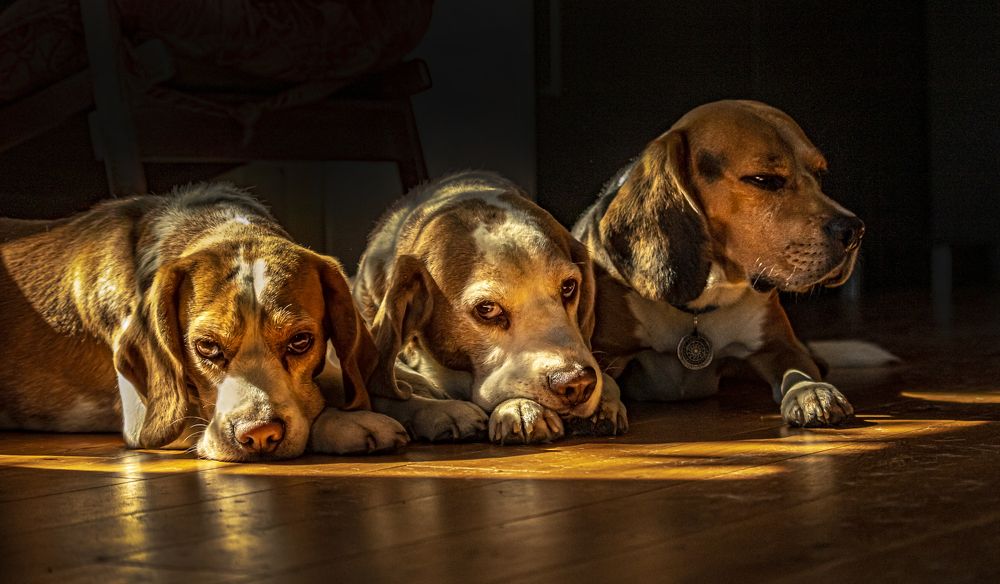 Photograph by Юлия Куликова