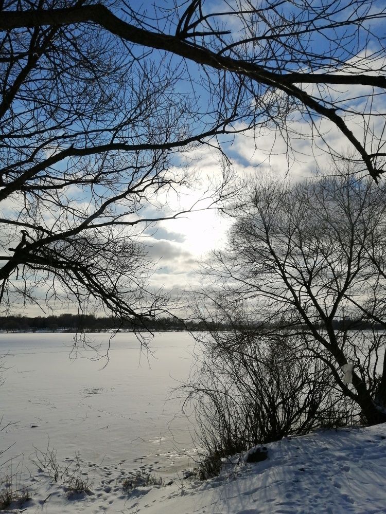 Photograph by Ольга Барковская
