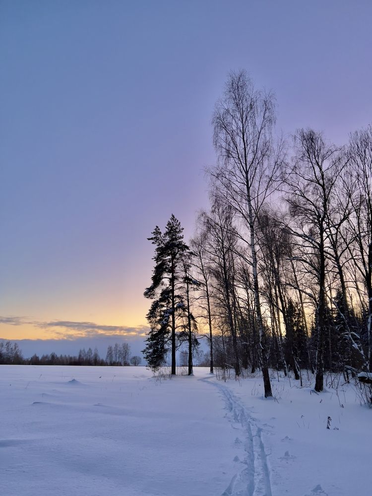 Photograph by Алексей Артышко