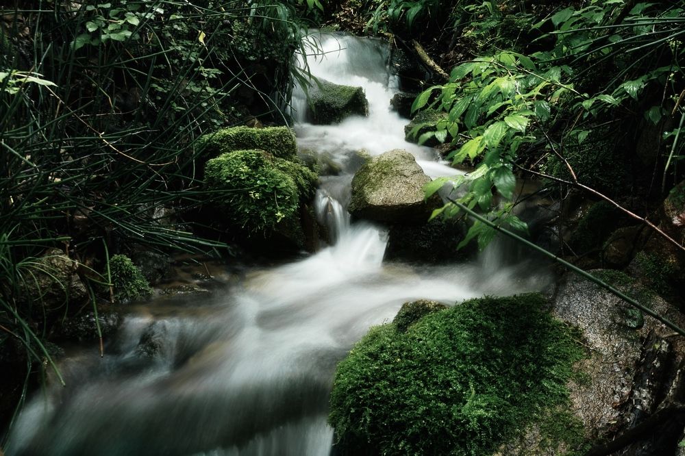 Photograph by Прохоров Денис