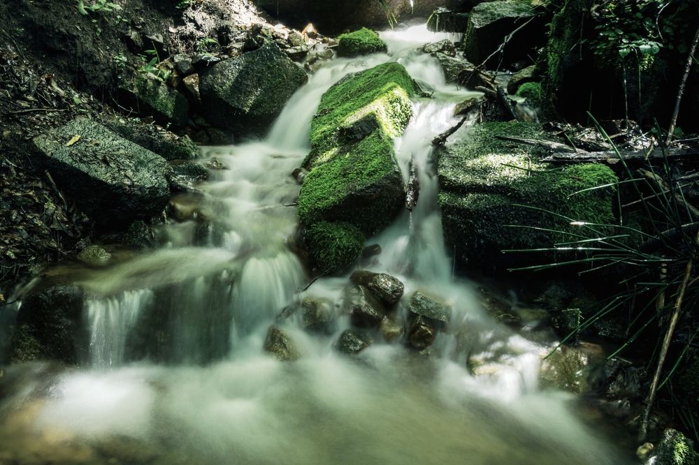 Photograph by Прохоров Денис