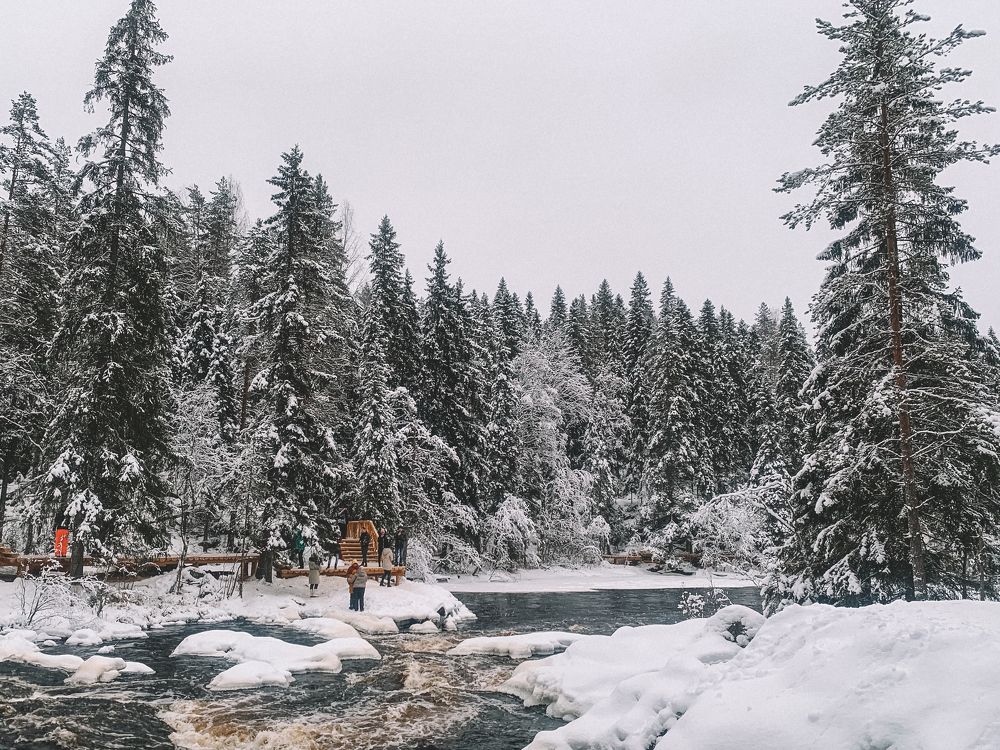 Фотография автора Татьяна Голубева
