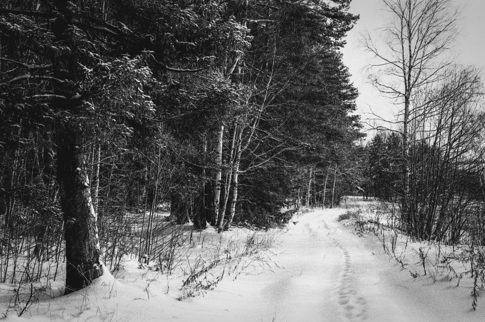 Photograph by Виталий Кожевников