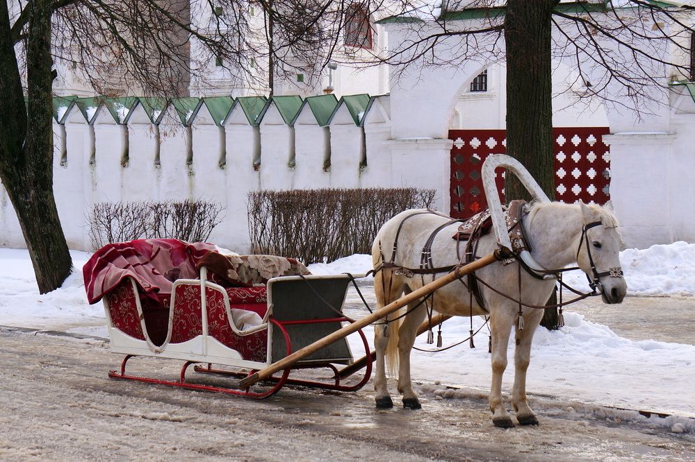 Photograph by Блюмина Елена