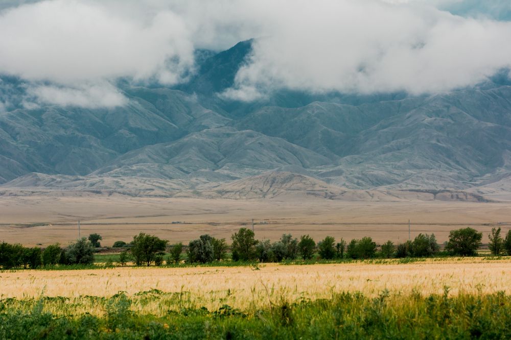 Photograph by Юлия Подлеснова